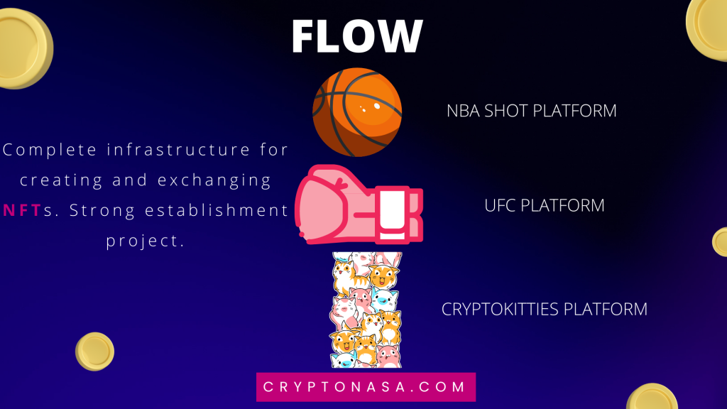 Flow - infographic summary sheet by Cryptonasa.com